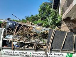 Best Dumpster Rental Services  in Auburndale, FL